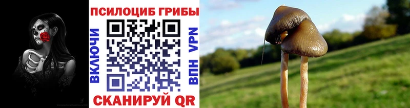 Галлюциногенные грибы мухоморы  наркотики  Павлово 